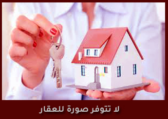 شقة