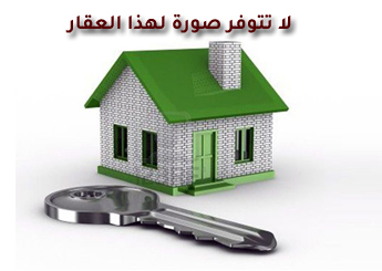 شقة 